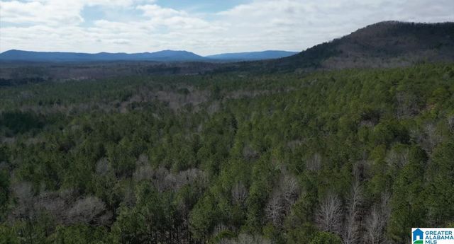 399 MAGNOLIA LANE, Vandiver, AL 35176