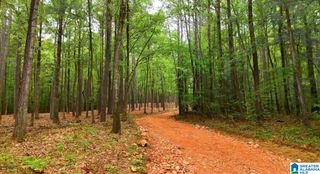 399 MAGNOLIA LANE, Vandiver, AL 35176