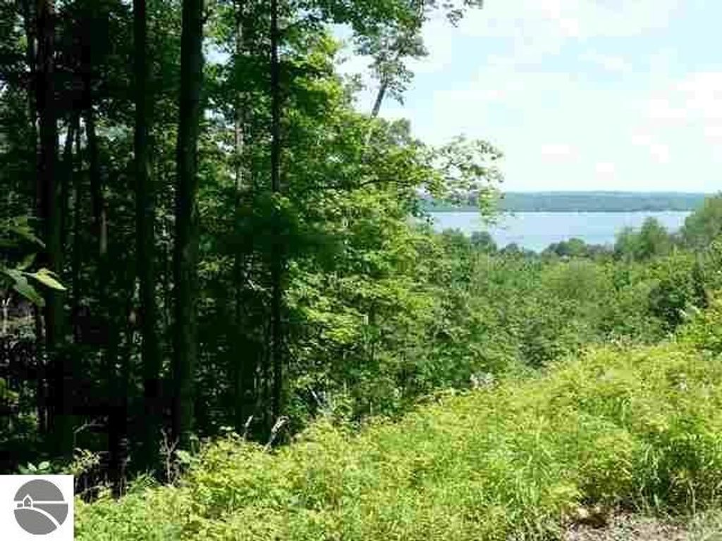 Image 2 of property listing at Lot 8 Torch Hills Lane, Rapid City, MI 49676