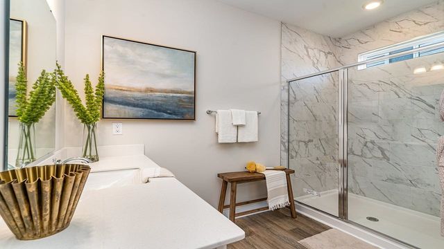 243 Hadley Springs Ave, Longs, SC 29568