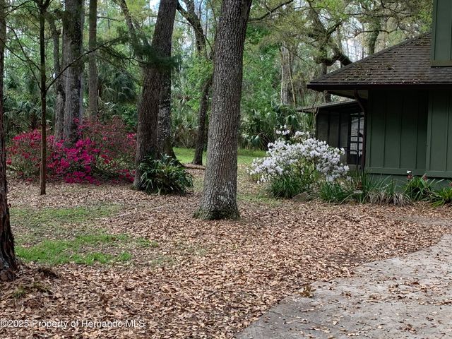 8725 Quail Run Drive, Wesley Chapel, FL 33544