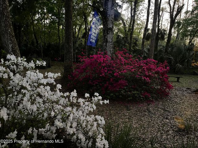 8725 Quail Run Drive, Wesley Chapel, FL 33544