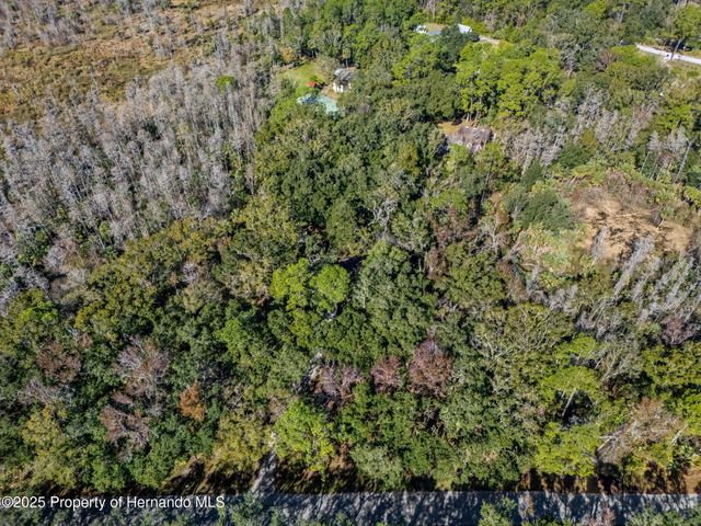 8725 Quail Run Drive, Wesley Chapel, FL 33544