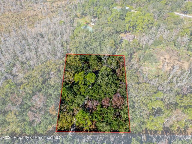 8725 Quail Run Drive, Wesley Chapel, FL 33544