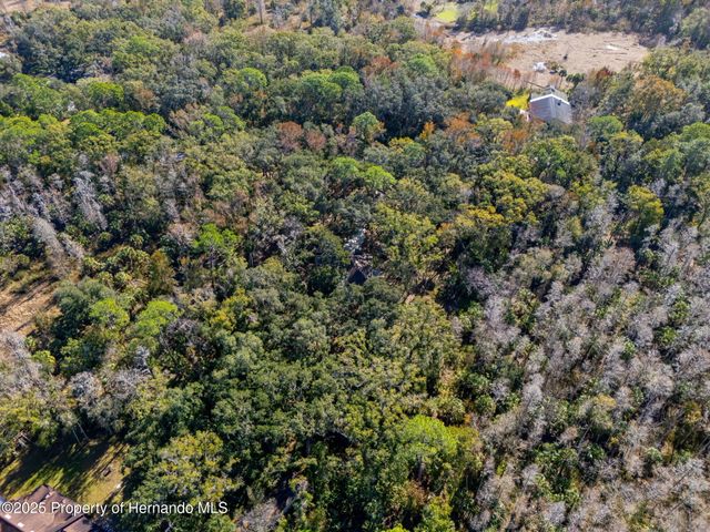 8725 Quail Run Drive, Wesley Chapel, FL 33544