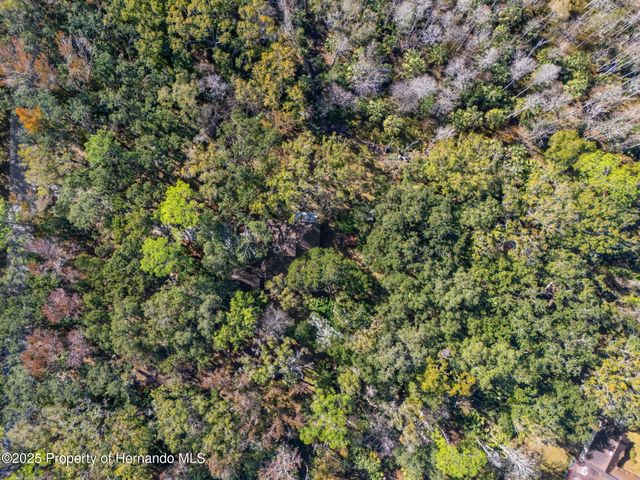 8725 Quail Run Drive, Wesley Chapel, FL 33544