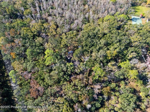 8725 Quail Run Drive, Wesley Chapel, FL 33544