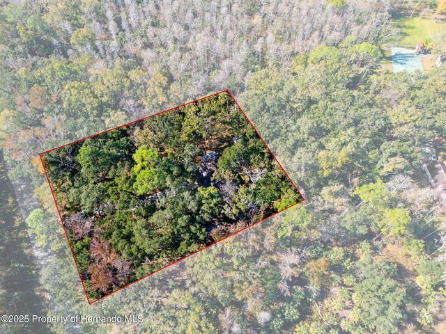 8725 Quail Run Drive, Wesley Chapel, FL 33544