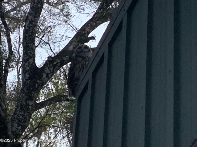 8725 Quail Run Drive, Wesley Chapel, FL 33544