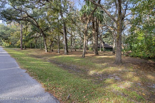 8725 Quail Run Drive, Wesley Chapel, FL 33544