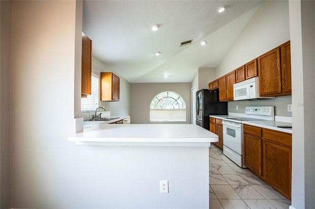 10458 LUCAYA DRIVE, Tampa, FL 33647