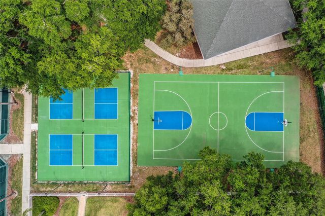 10458 LUCAYA DRIVE, Tampa, FL 33647