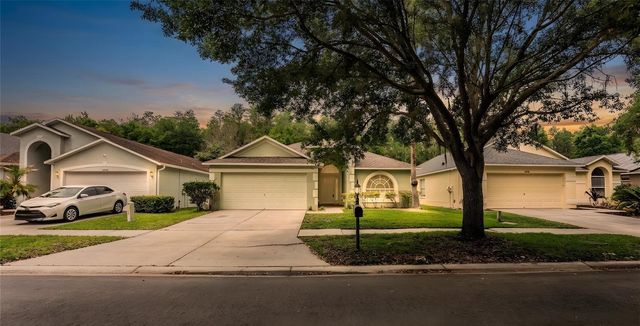 10458 LUCAYA DRIVE, Tampa, FL 33647