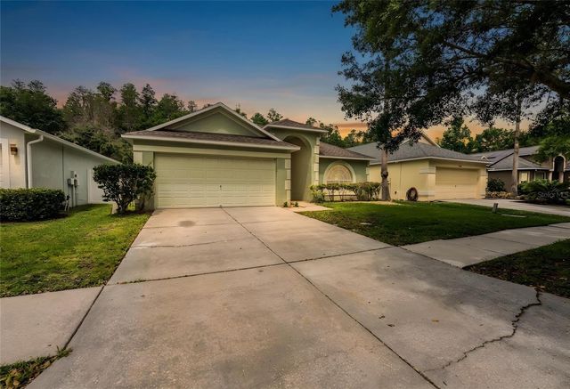 10458 LUCAYA DRIVE, Tampa, FL 33647