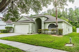 10458 LUCAYA DRIVE, Tampa, FL 33647