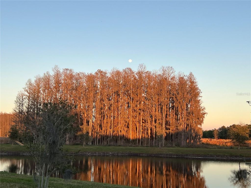 Image 22 of property listing at 19557 SHIP WHEEL WAY, Land O Lakes, FL 34638