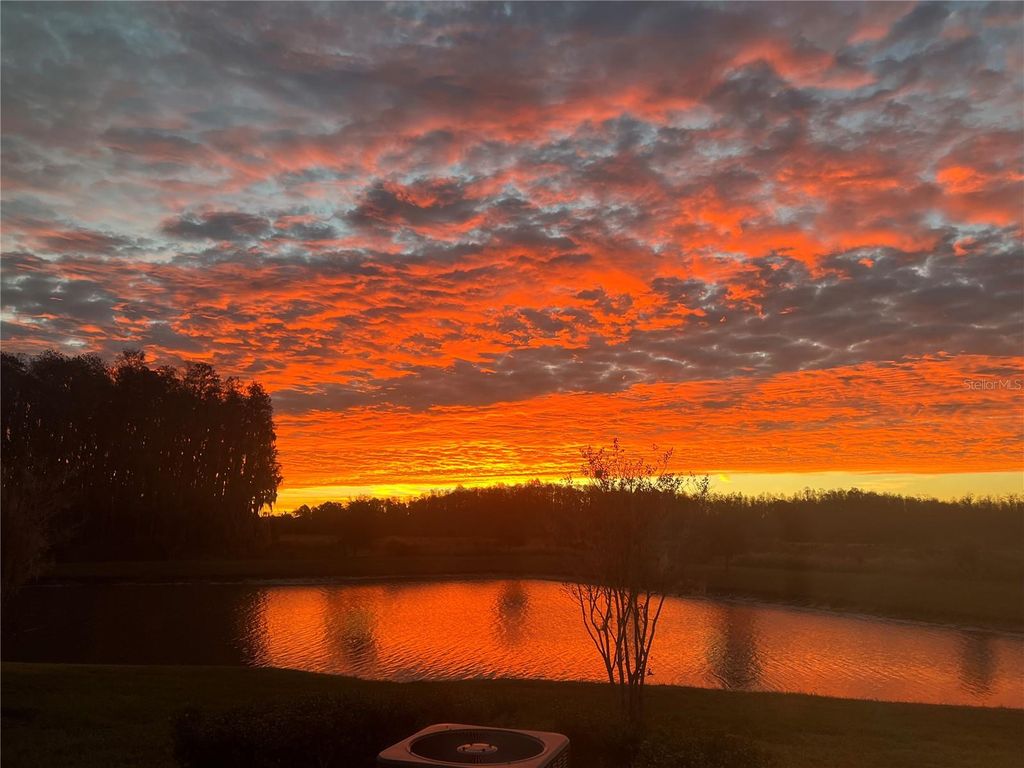 Image 23 of property listing at 19557 SHIP WHEEL WAY, Land O Lakes, FL 34638