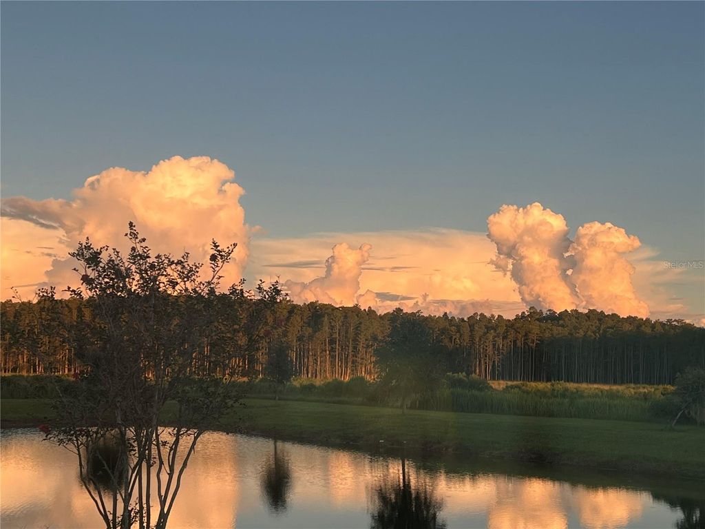 Image 24 of property listing at 19557 SHIP WHEEL WAY, Land O Lakes, FL 34638