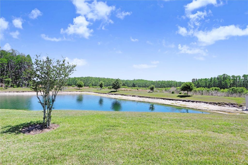 Image 25 of property listing at 19557 SHIP WHEEL WAY, Land O Lakes, FL 34638