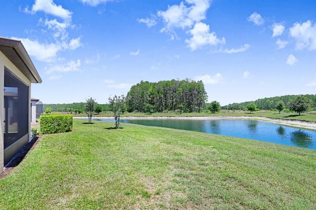 Image 26 of property listing at 19557 SHIP WHEEL WAY, Land O Lakes, FL 34638
