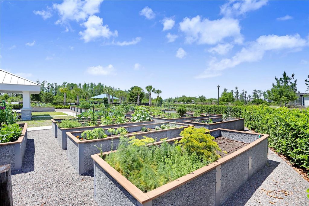 Image 41 of property listing at 19557 SHIP WHEEL WAY, Land O Lakes, FL 34638