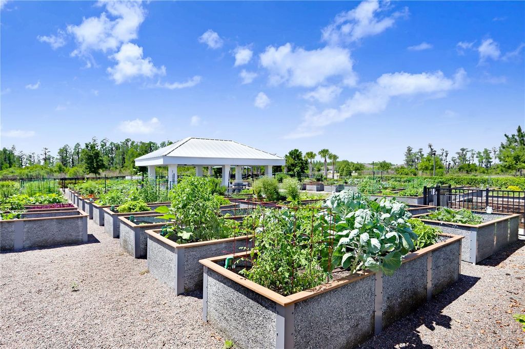 Image 42 of property listing at 19557 SHIP WHEEL WAY, Land O Lakes, FL 34638