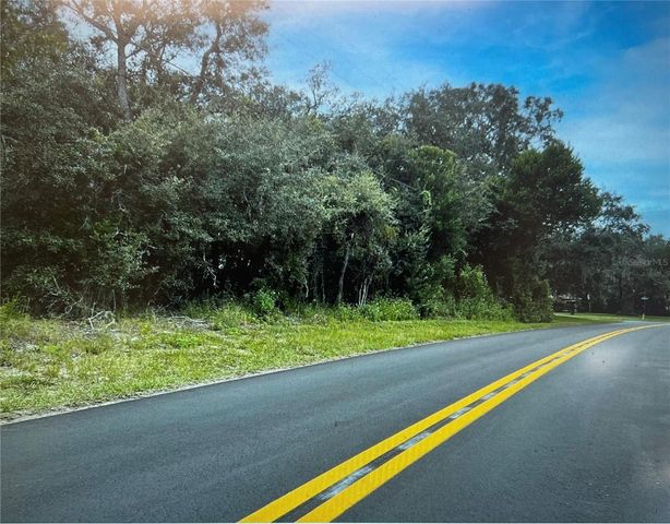 3 TALL MARIGOLDS CT,, Homosassa, FL 34446