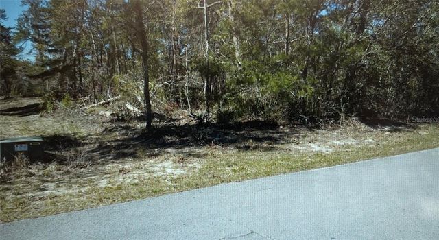 3 TALL MARIGOLDS CT,, Homosassa, FL 34446