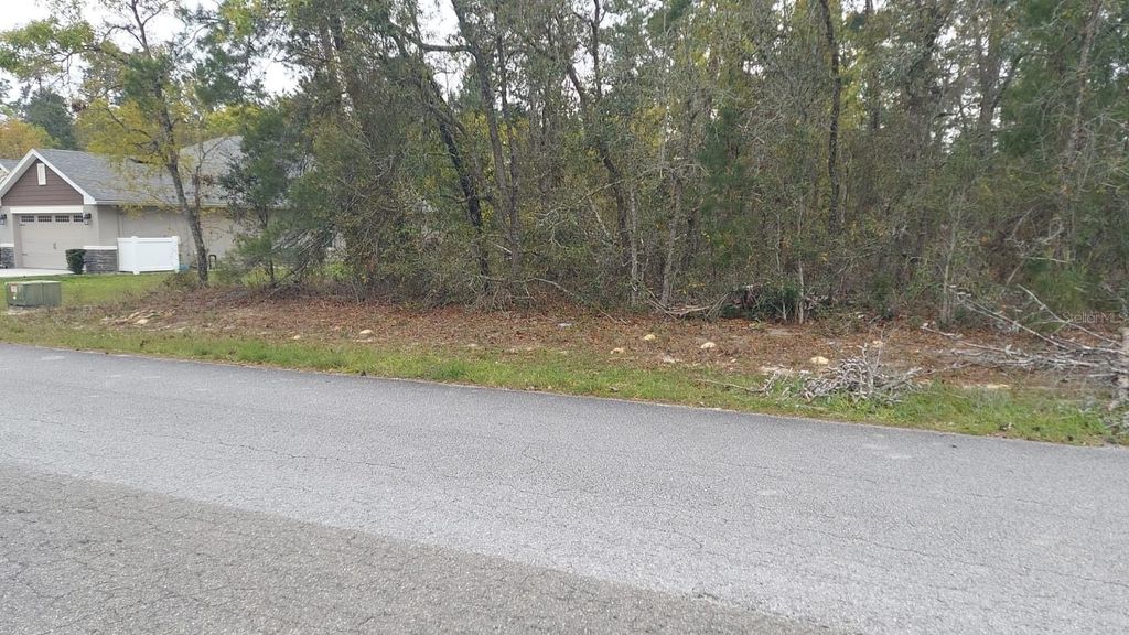 3 TALL MARIGOLDS CT,, Homosassa, FL 34446