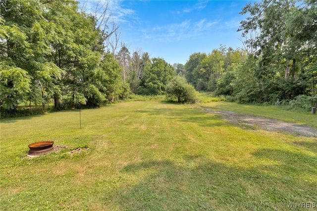 7599 State Road, Colden, NY 14033