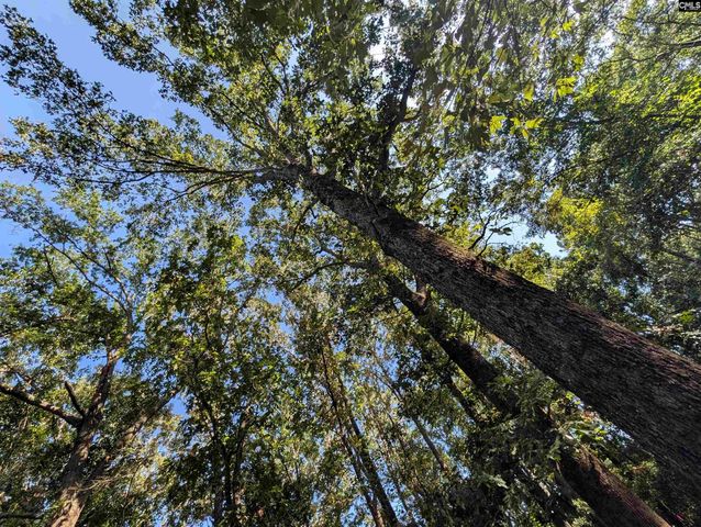 1498 Cassatt Road, Cassatt, SC 29045