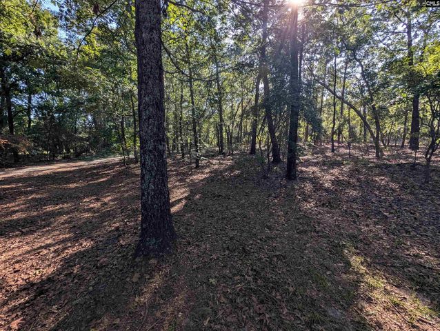 1498 Cassatt Road, Cassatt, SC 29045