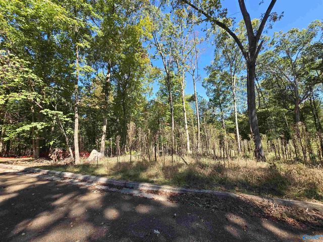 6106 Tuscaloosa Drive NW, Huntsville, AL 35810