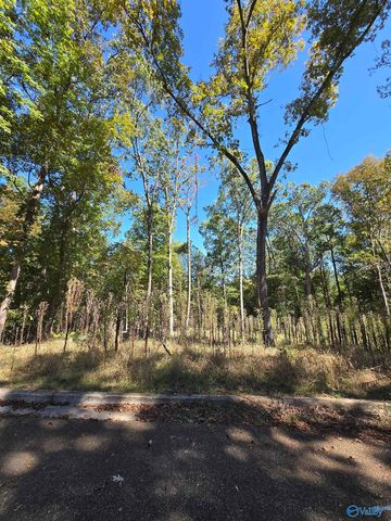 6106 Tuscaloosa Drive NW, Huntsville, AL 35810