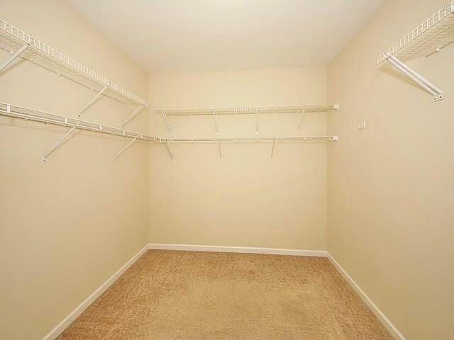 8154 Little Sydneys Way, North Charleston, SC 29406