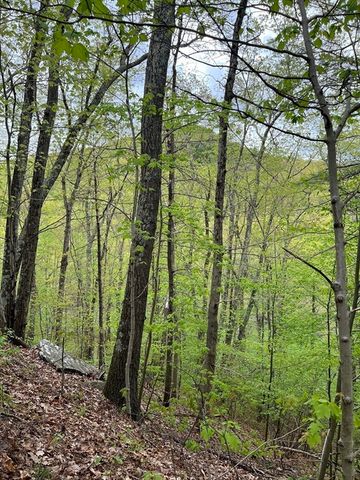 599-607 Old Warren Road, Palmer, MA 01069