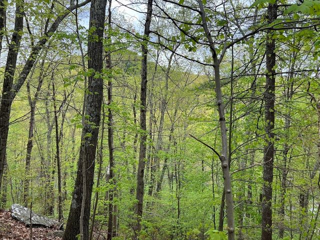 599-607 Old Warren Road, Palmer, MA 01069