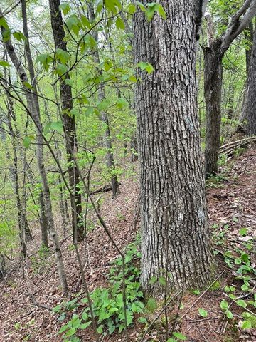 599-607 Old Warren Road, Palmer, MA 01069