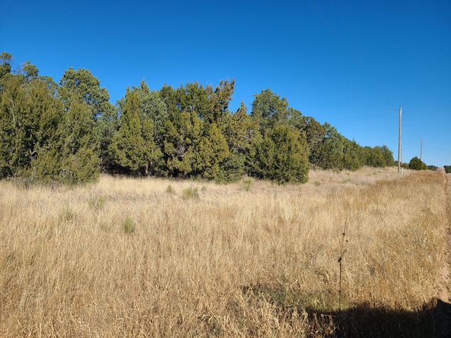 0 County Rd A012 14, Tajique, NM 87016