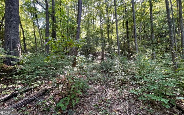 LOT 22 High Meadows, Hayesville, NC 28904
