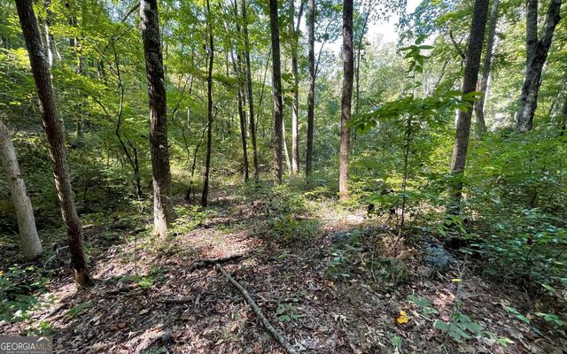 LOT 22 High Meadows, Hayesville, NC 28904