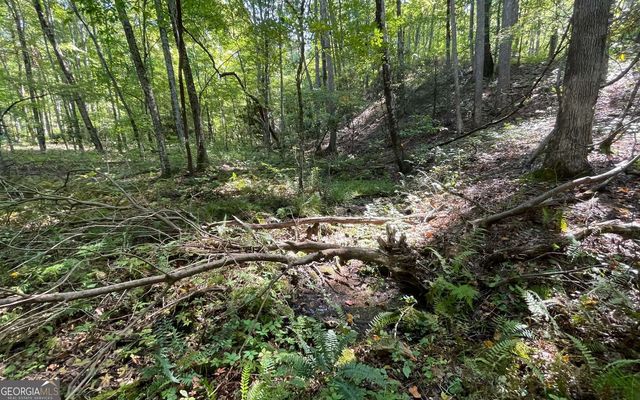 LOT 22 High Meadows, Hayesville, NC 28904