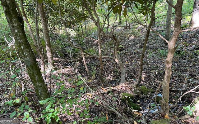 LOT 22 High Meadows, Hayesville, NC 28904