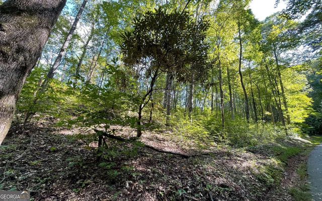 LOT 22 High Meadows, Hayesville, NC 28904