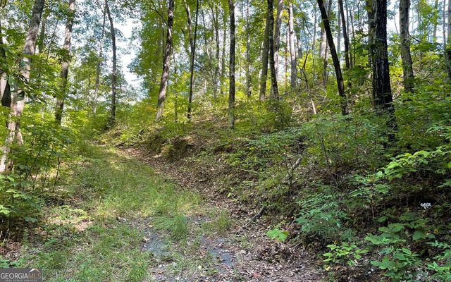 LOT 22 High Meadows, Hayesville, NC 28904