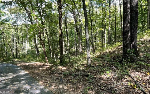 LOT 22 High Meadows, Hayesville, NC 28904