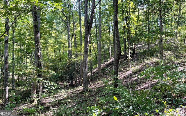 LOT 22 High Meadows, Hayesville, NC 28904