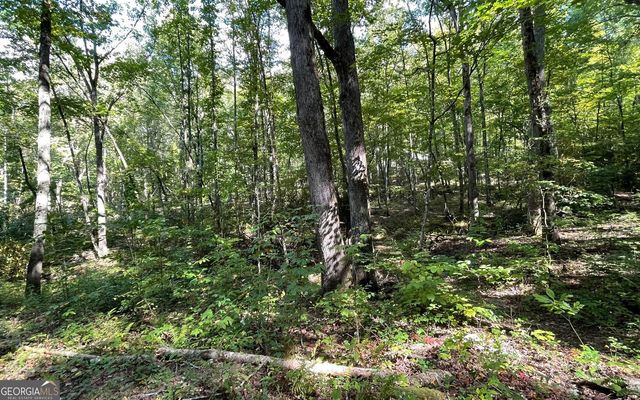 LOT 22 High Meadows, Hayesville, NC 28904