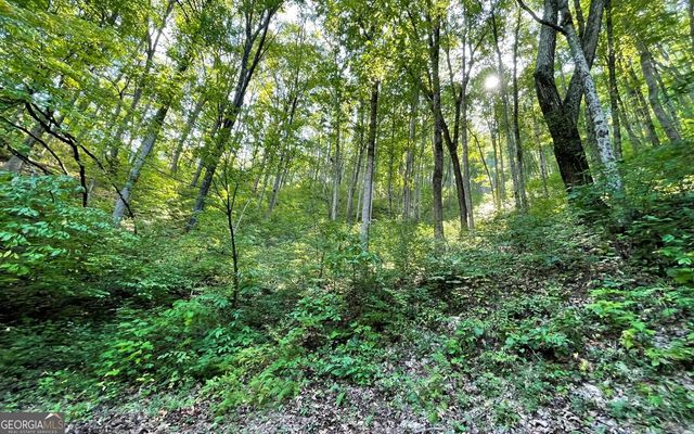 LOT 22 High Meadows, Hayesville, NC 28904