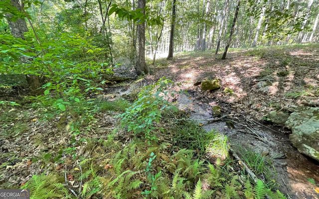 LOT 22 High Meadows, Hayesville, NC 28904